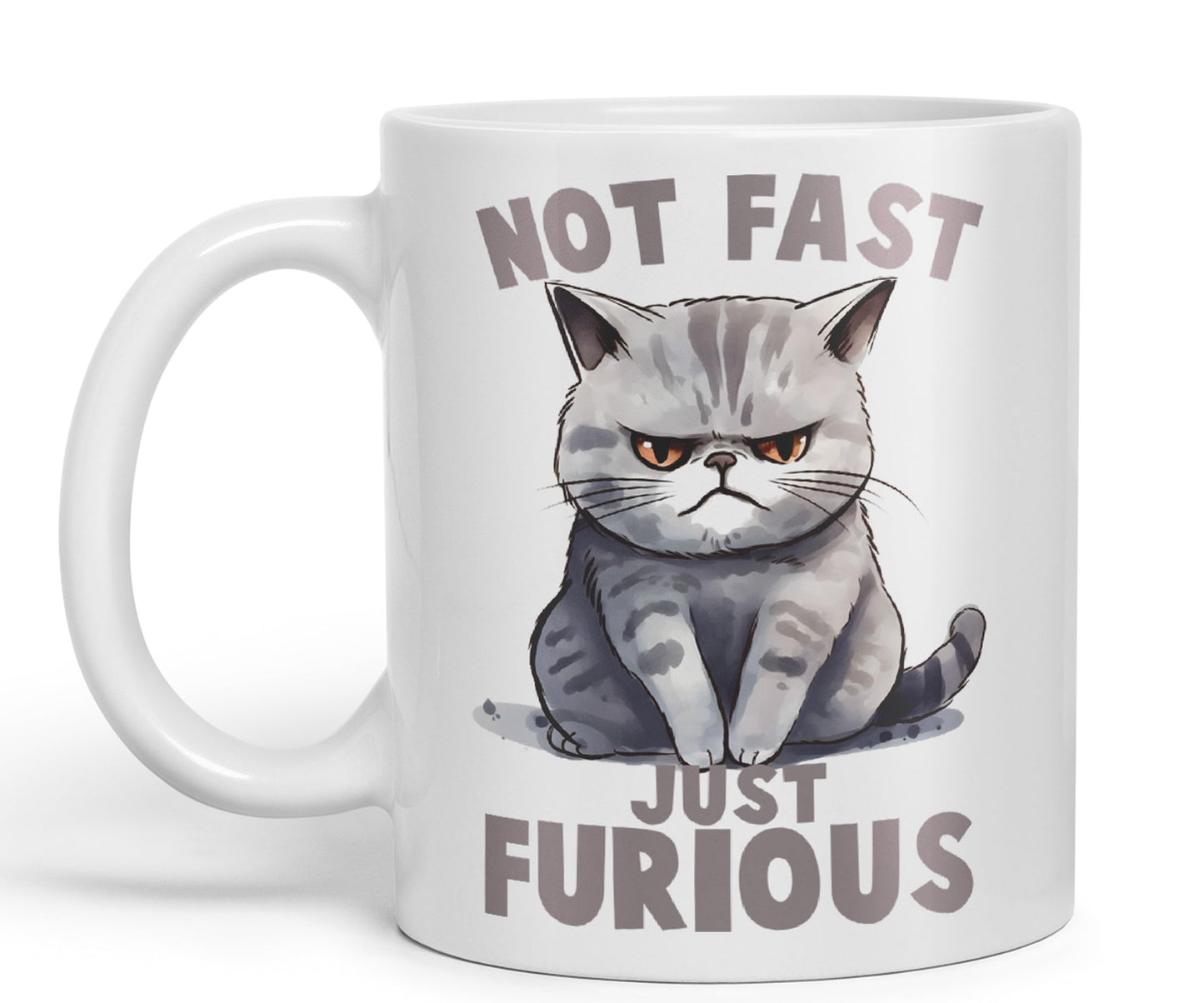 Not Fast just Furious, cat Sarcastic Joke Ceramic Coloured Mug Cup for Tea Coffee Hot Brew 330ml 11Oz