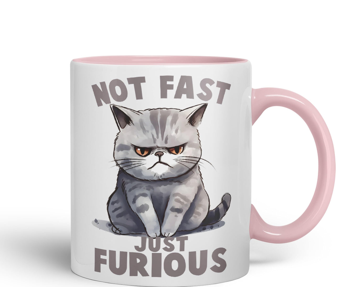 Not Fast just Furious, cat Sarcastic Joke Ceramic Coloured Mug Cup for Tea Coffee Hot Brew 330ml 11Oz