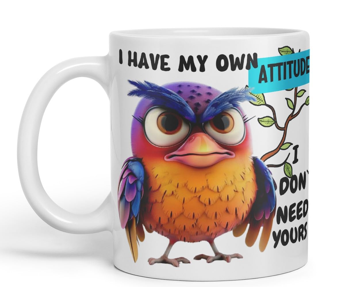 Vixar I Have My Own Attitude Sarcastic Owl Coloured Ceramic Mug Cup Gift 11oz (Black)