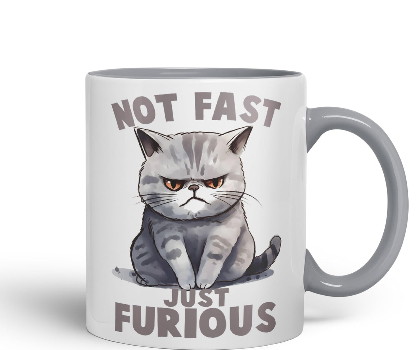 Not Fast just Furious, cat Sarcastic Joke Ceramic Coloured Mug Cup for Tea Coffee Hot Brew 330ml 11Oz