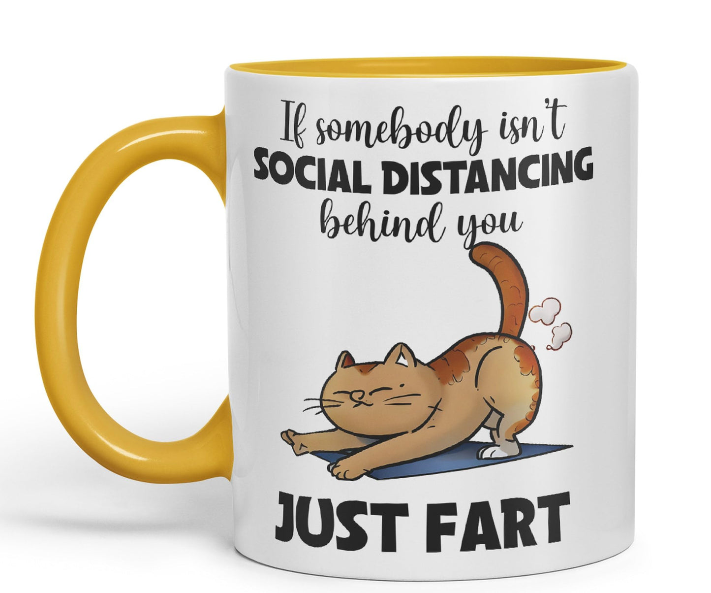 Vixar If Somebody Isn't Social Distancing Behind You Just Fart Cats Sarcastic Joke Ceramic Coloured Mug Cup for Tea Coffee Hot Brew 330ml 11oz