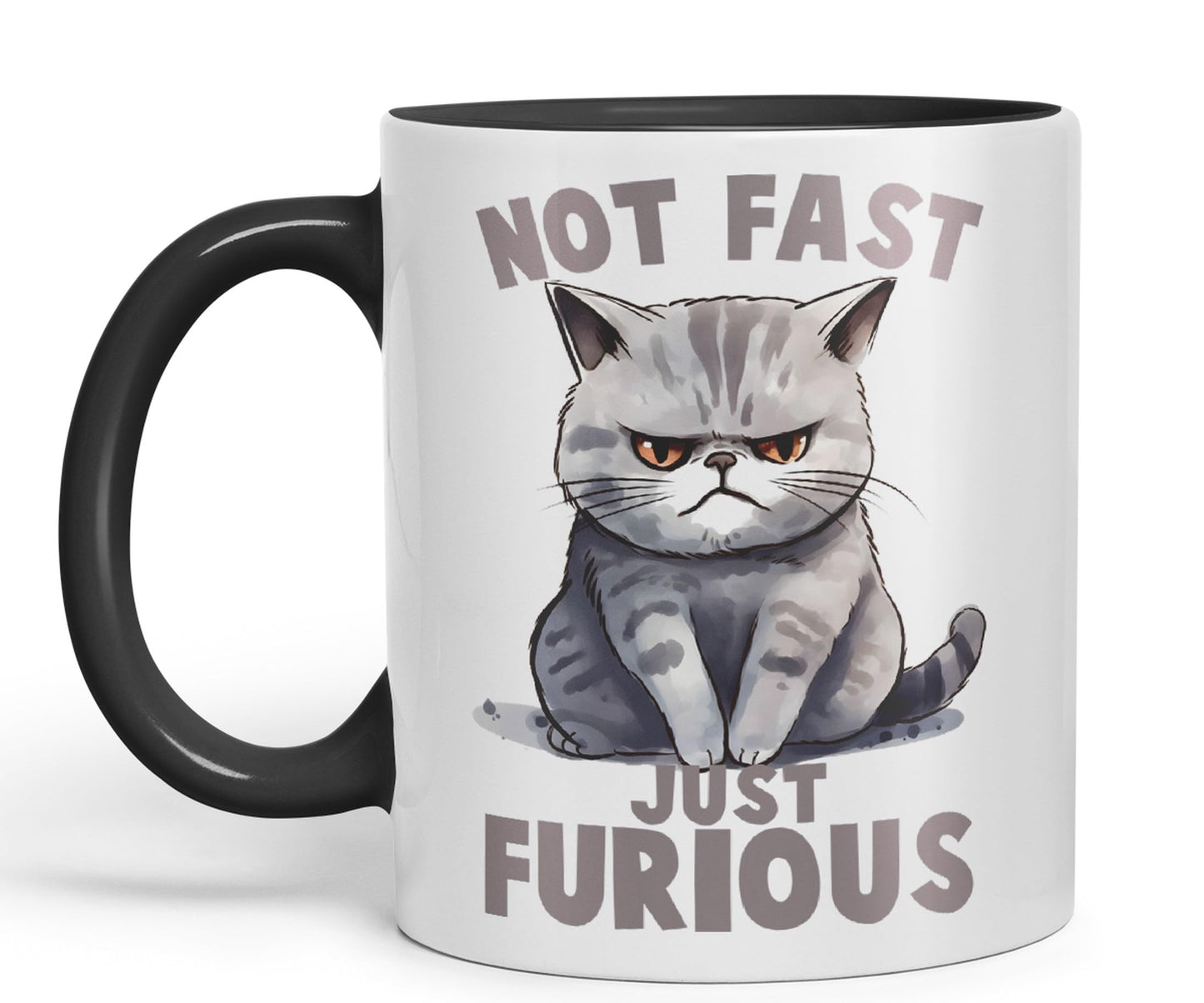 Not Fast just Furious, cat Sarcastic Joke Ceramic Coloured Mug Cup for Tea Coffee Hot Brew 330ml 11Oz