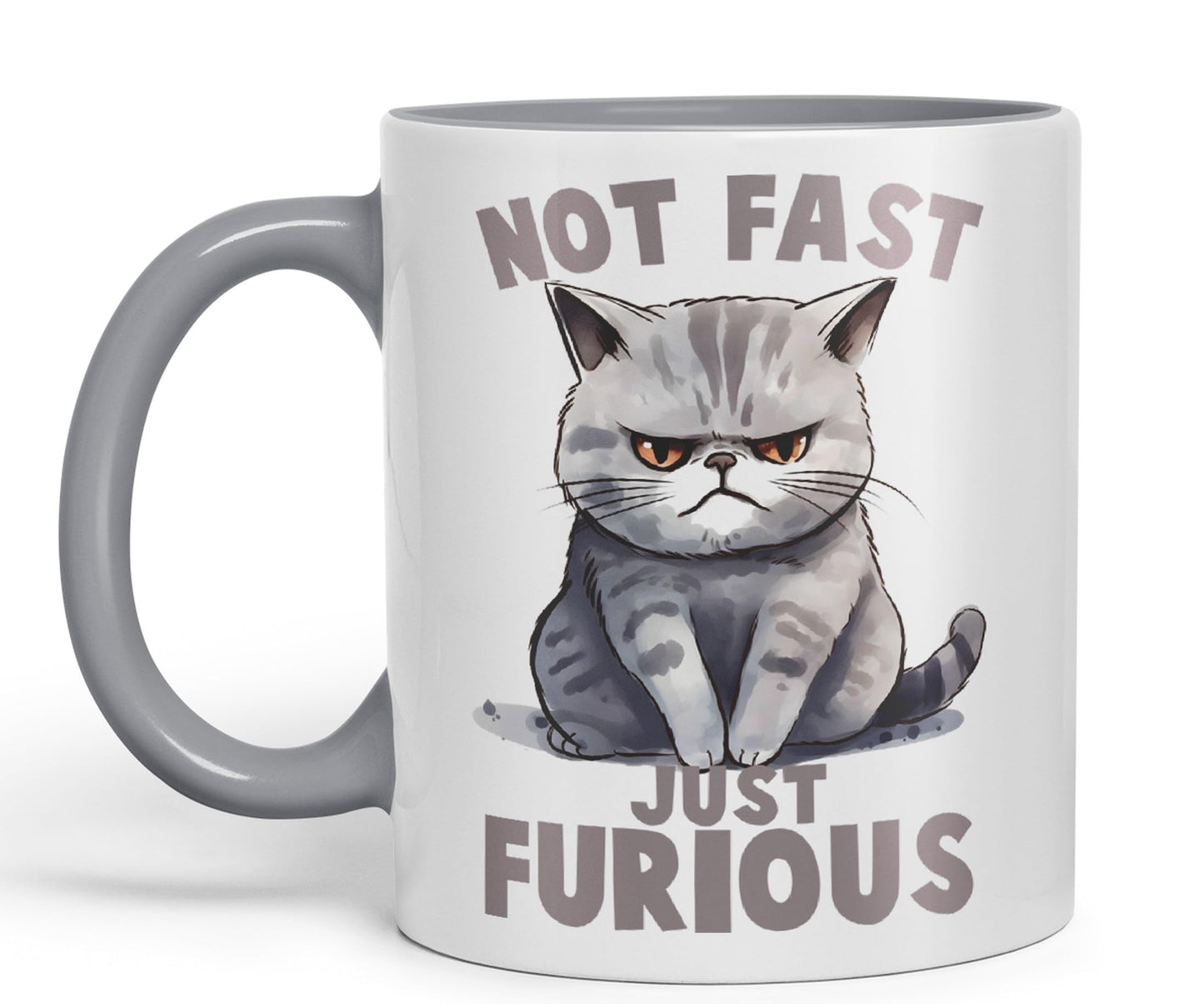 Not Fast just Furious, cat Sarcastic Joke Ceramic Coloured Mug Cup for Tea Coffee Hot Brew 330ml 11Oz