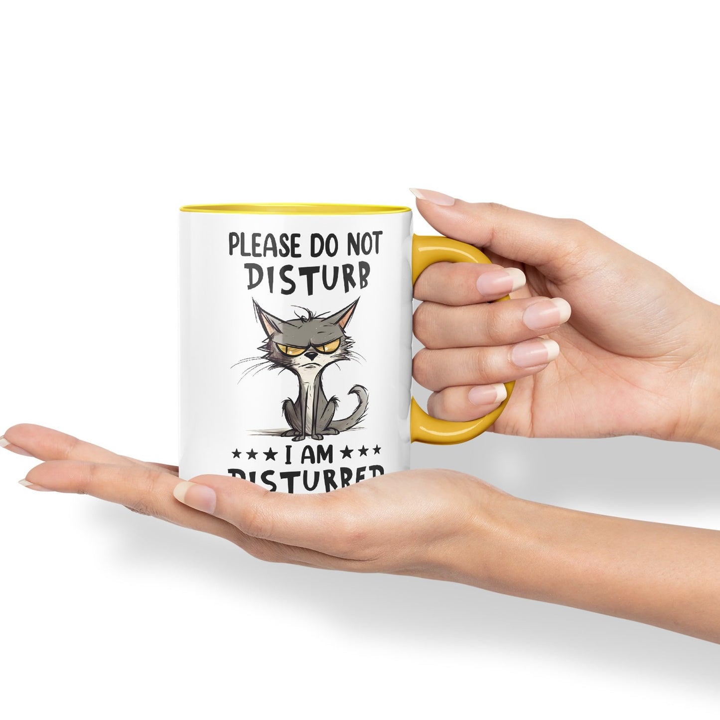 Please Do Not Disturb, I am Disturbed Enough Already Cat Joke Ceramic Coloured Mug Cup for Tea Coffee Hot Brew 330ml 11Oz