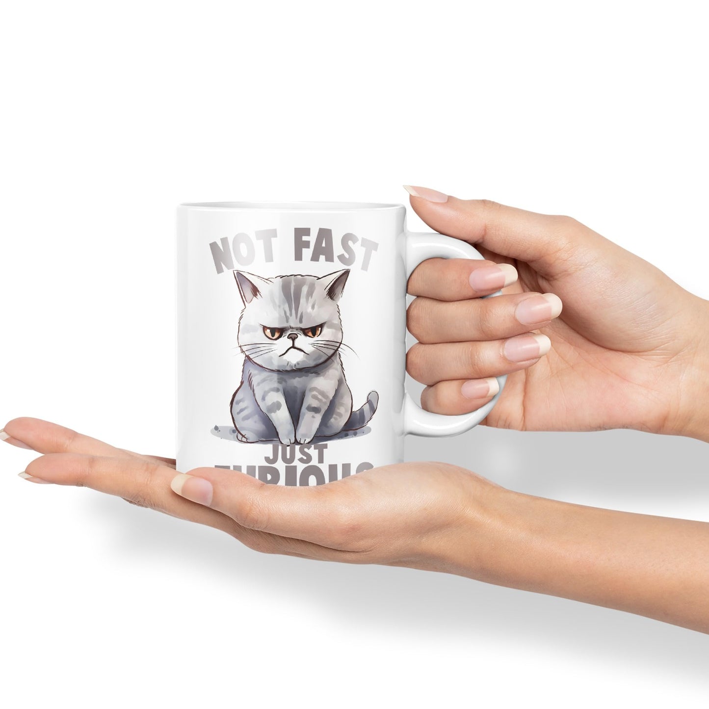 Not Fast just Furious, cat Sarcastic Joke Ceramic Coloured Mug Cup for Tea Coffee Hot Brew 330ml 11Oz