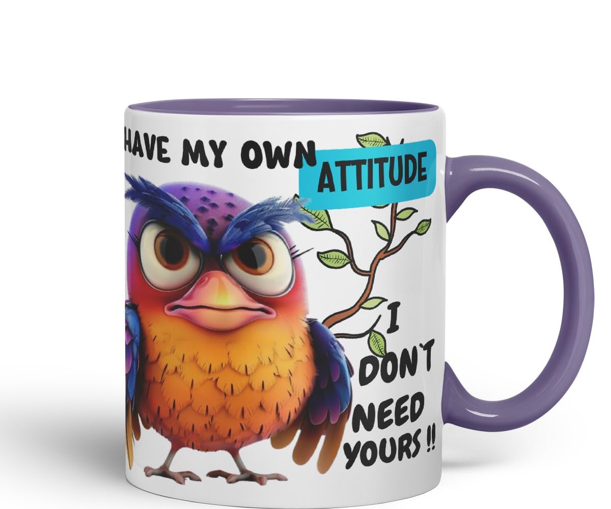 Vixar I Have My Own Attitude Sarcastic Owl Coloured Ceramic Mug Cup Gift 11oz (Black)