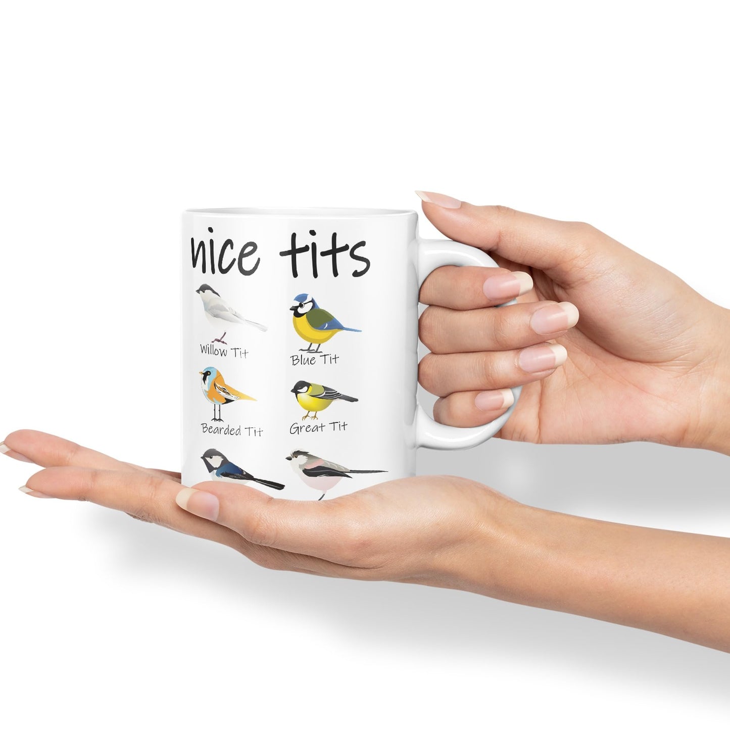 Nice Tits,Willow tit, Blue tit, Bearded tit, Great tit, Coal tit, Long Tailed tit, Sarcastic Joke Ceramic Coloured Mug Cup for Tea Coffee Hot Brew 330ml 11 OZ