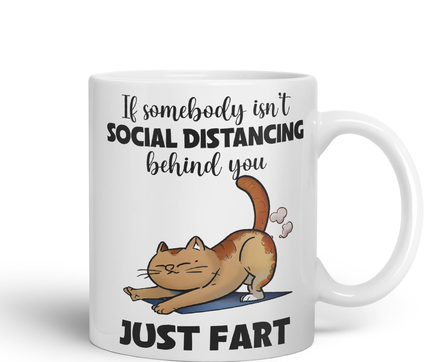 Vixar If Somebody Isn't Social Distancing Behind You Just Fart Cats Sarcastic Joke Ceramic Coloured Mug Cup for Tea Coffee Hot Brew 330ml 11oz