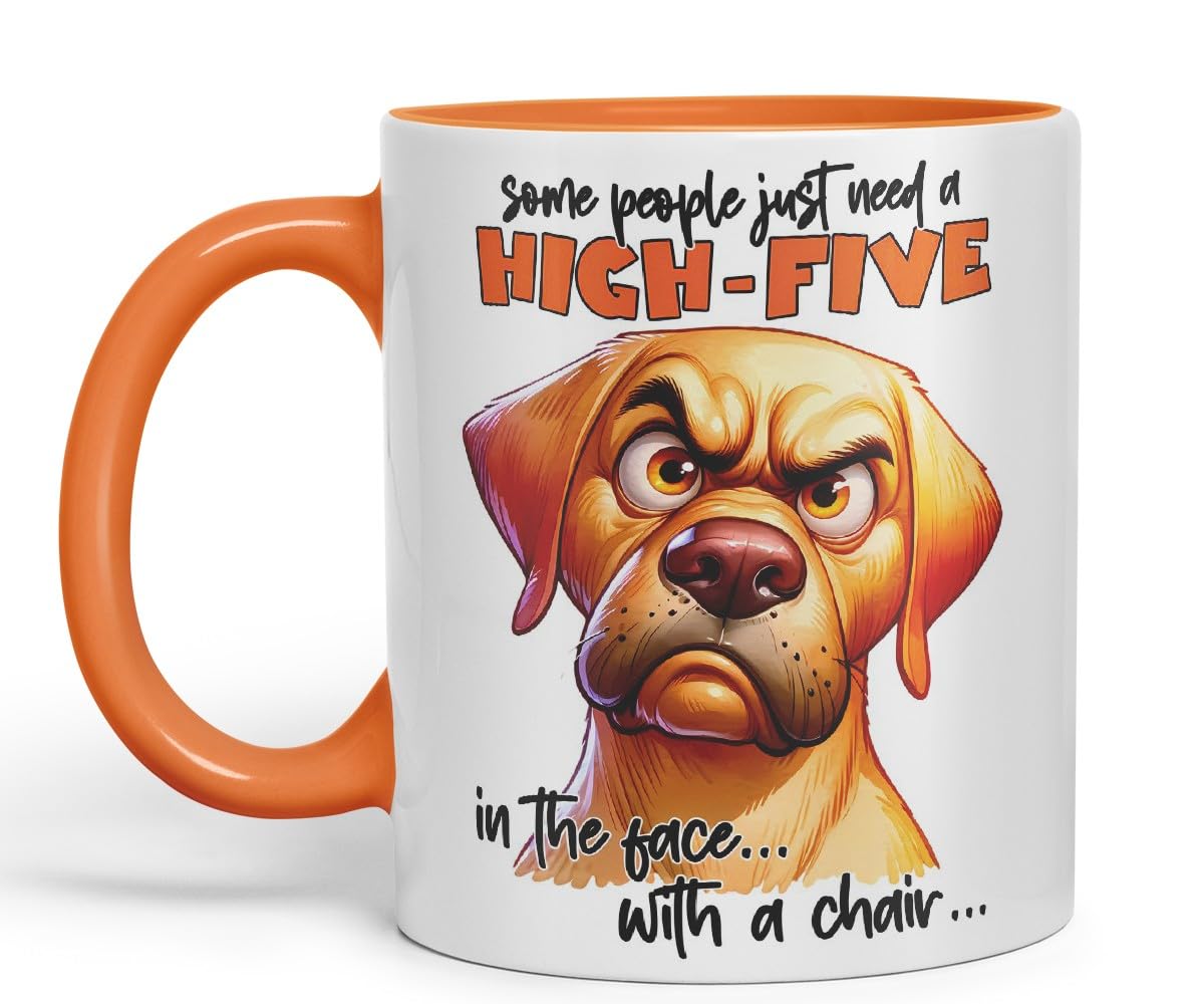 Vixar Some People Just Need a High-Five in The Face with a Chair Dog Coloured Ceramic Mug Cup 11oz Funny Sarcastic Gift (Black)
