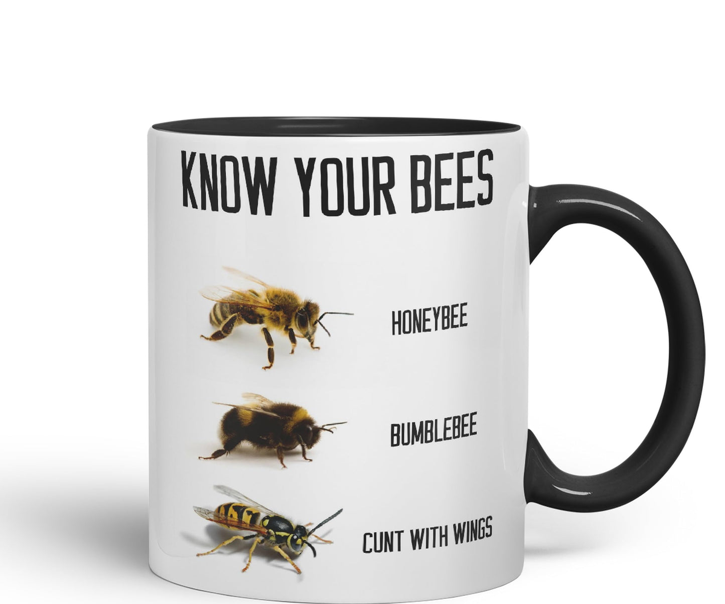 Vixar Know Your Bees Rude Funny Ceramic 330 ml Coloured Mug Cup Gift Tea Coffee Christmas Office Home Joke