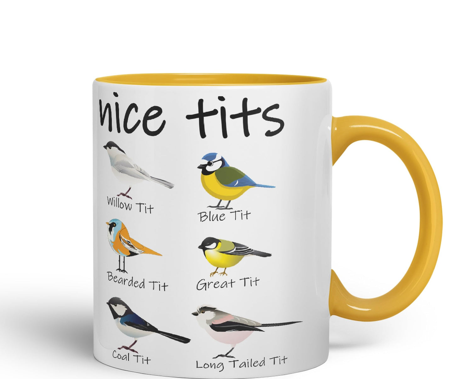 Nice Tits,Willow tit, Blue tit, Bearded tit, Great tit, Coal tit, Long Tailed tit, Sarcastic Joke Ceramic Coloured Mug Cup for Tea Coffee Hot Brew 330ml 11 OZ