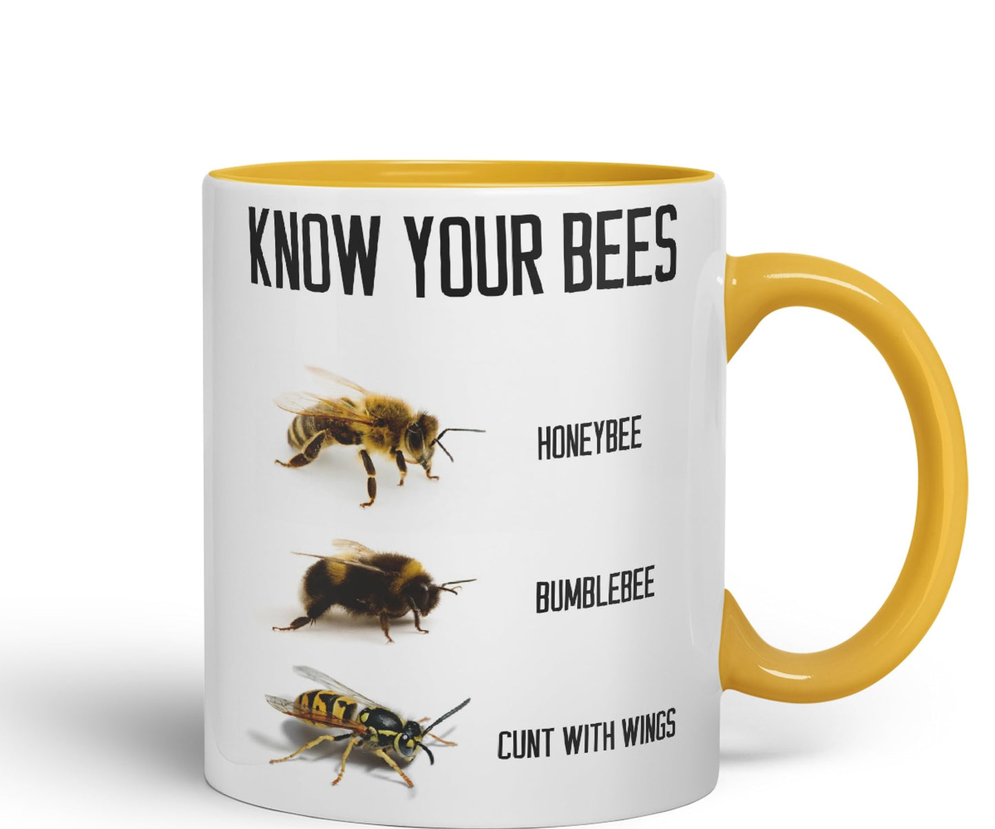 Vixar Know Your Bees Rude Funny Ceramic 330 ml Coloured Mug Cup Gift Tea Coffee Christmas Office Home Joke