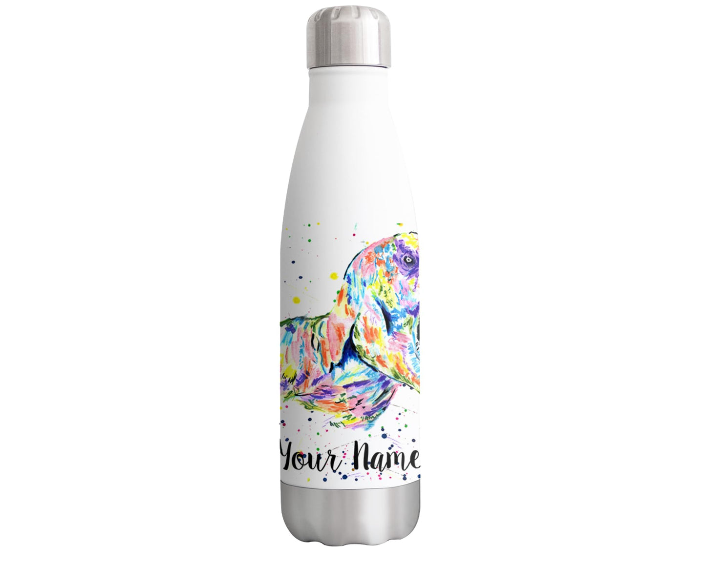 Vixar Dinosaur T-rex dino Personalised Custom Bottle with your Text/name Watercolour Bottle double Wall insulated Stainless steel sport Drinks 500ml v1