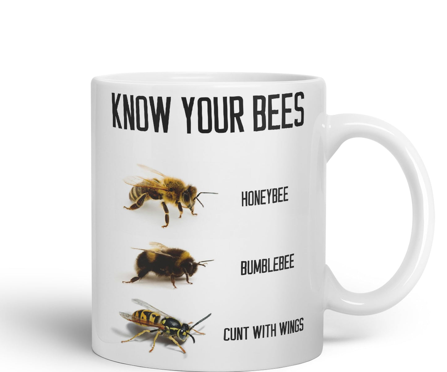 Vixar Know Your Bees Rude Funny Ceramic 330 ml Coloured Mug Cup Gift Tea Coffee Christmas Office Home Joke