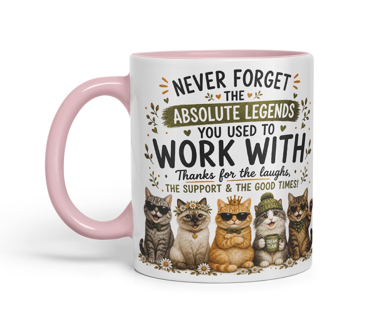 Vixar Never Forget the Absolute Legends You Used to Work with Cats Mug – Funny Cat Coworker Leaving Gift, 11oz (Black)
