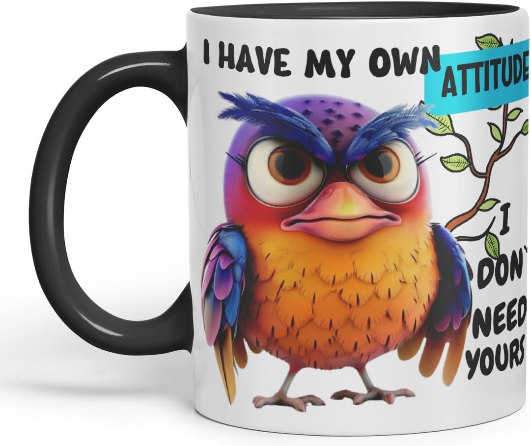 Vixar I Have My Own Attitude Sarcastic Owl Coloured Ceramic Mug Cup Gift 11oz (Black)
