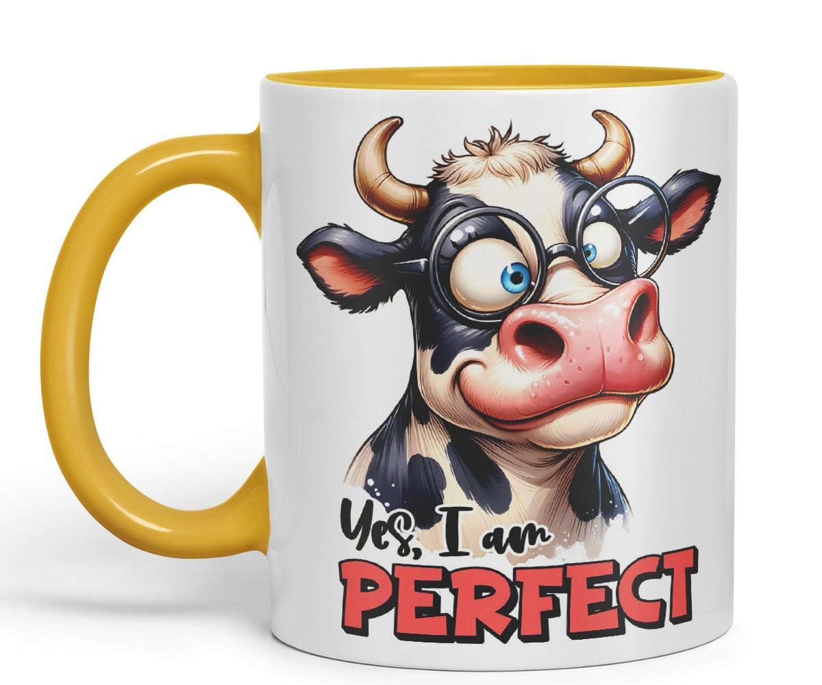 Yes, I Am Perfect Coloured Ceramic Mug Cup 11oz Funny Sarcastic Gift (Black)