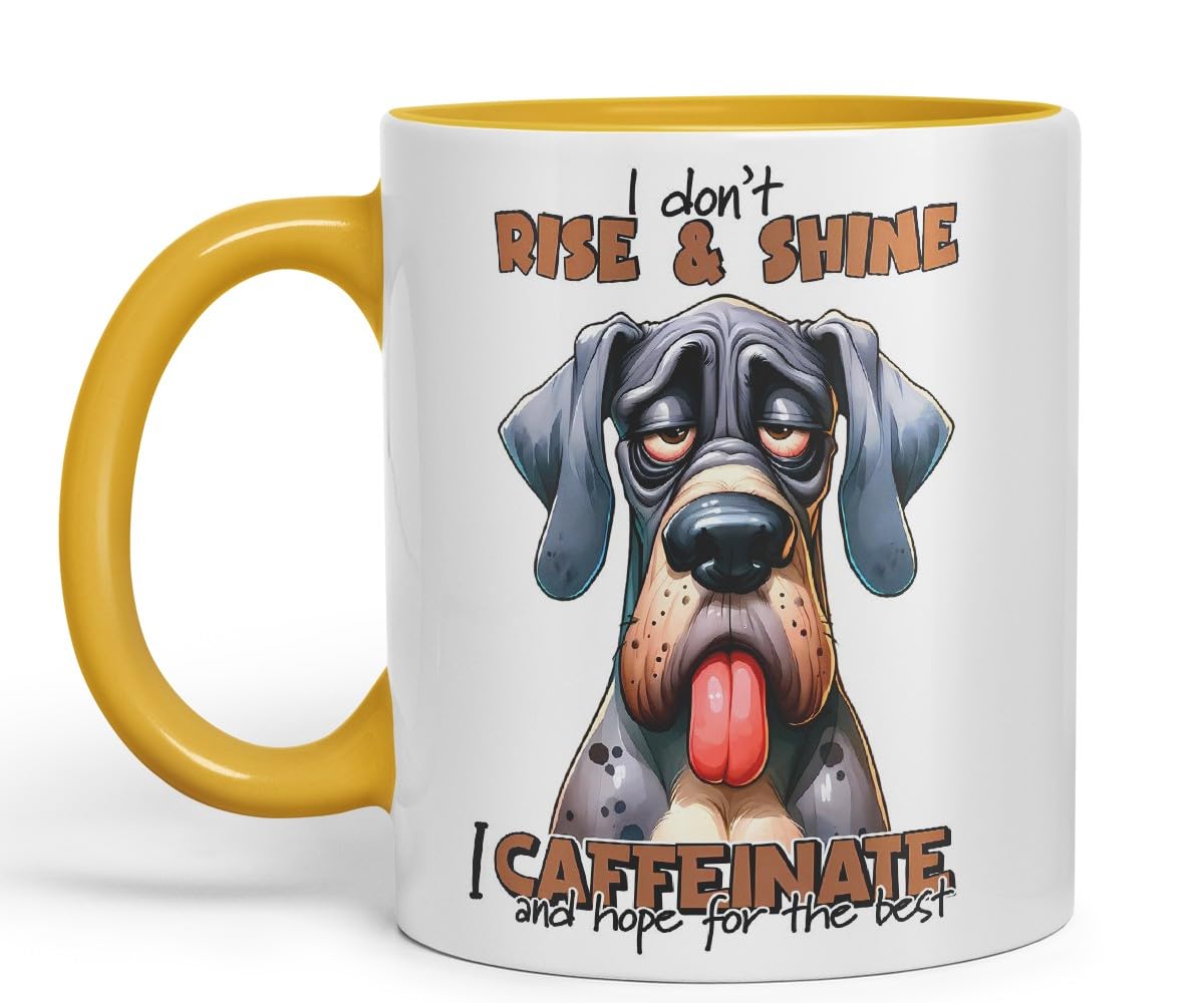 Vixar I Don’t Rise & Shine — I Caffeinate and Hope for The Best Sarcastic Great Dane Dog Mug, Coloured Ceramic Cup 11oz (Black)