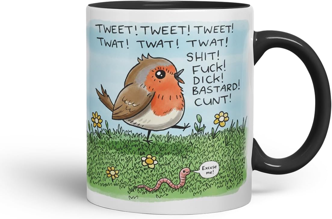 Vixar Funny Robin Bird Swearing Joke Mug – Coloured Ceramic Mug Cup Gift, 11oz (Black)