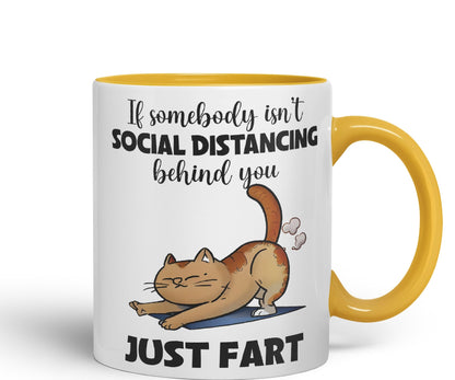 Vixar If Somebody Isn't Social Distancing Behind You Just Fart Cats Sarcastic Joke Ceramic Coloured Mug Cup for Tea Coffee Hot Brew 330ml 11oz