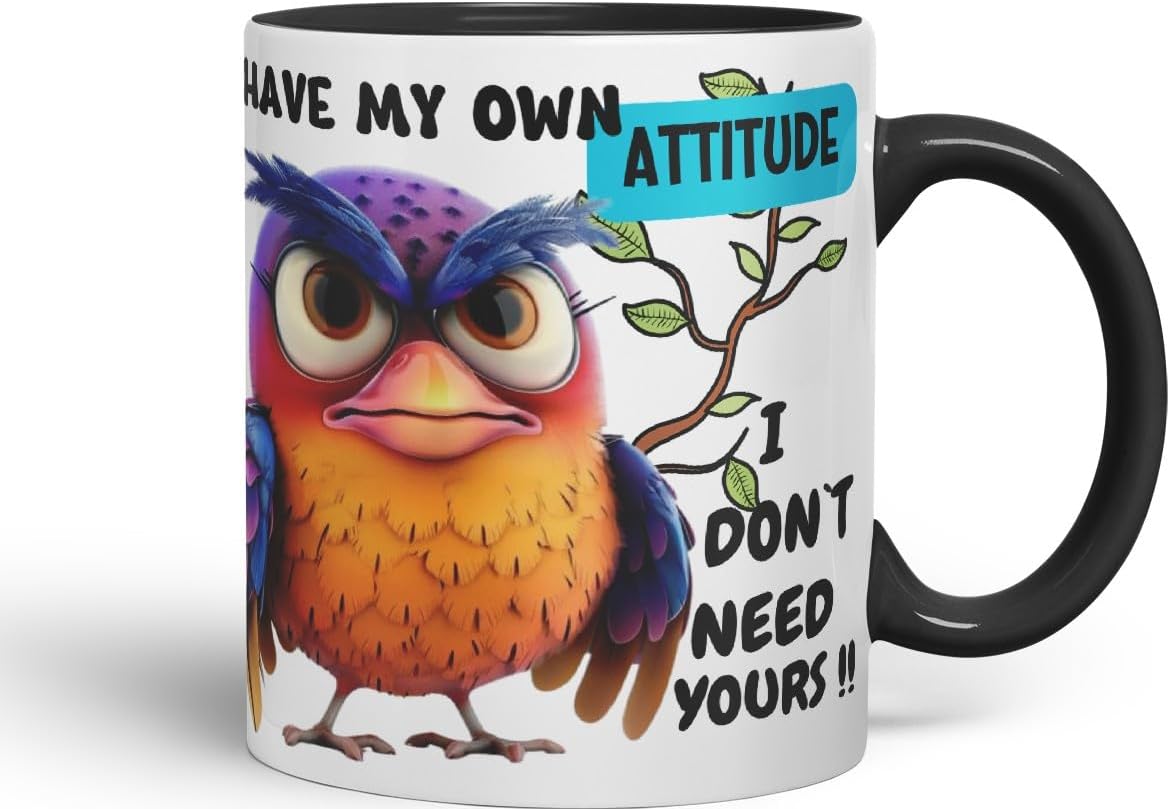 Vixar I Have My Own Attitude Sarcastic Owl Coloured Ceramic Mug Cup Gift 11oz (Black)