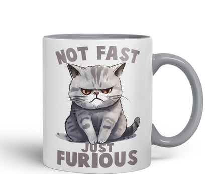 Not Fast just Furious, cat Sarcastic Joke Ceramic Coloured Mug Cup for Tea Coffee Hot Brew 330ml 11Oz