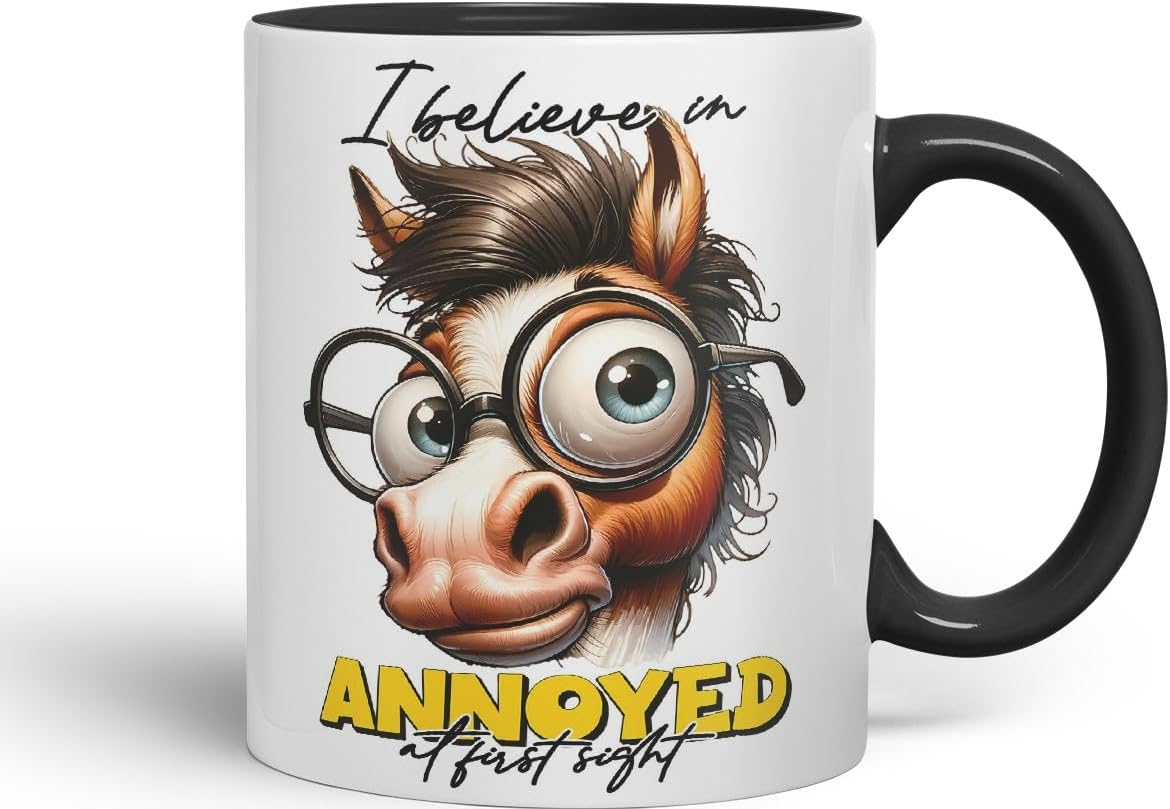 Vixar I Believe in Annoyed at First Sight Coloured Ceramic Mug Cup 11oz Funny Sarcastic Gift (Black)