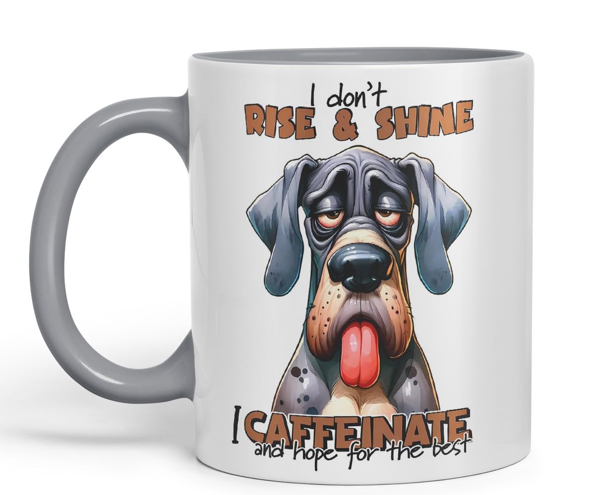 Vixar I Don’t Rise & Shine — I Caffeinate and Hope for The Best Sarcastic Great Dane Dog Mug, Coloured Ceramic Cup 11oz (Black)