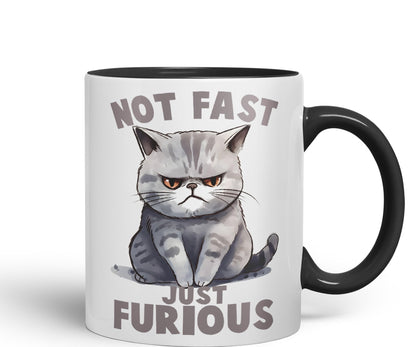 Not Fast just Furious, cat Sarcastic Joke Ceramic Coloured Mug Cup for Tea Coffee Hot Brew 330ml 11Oz