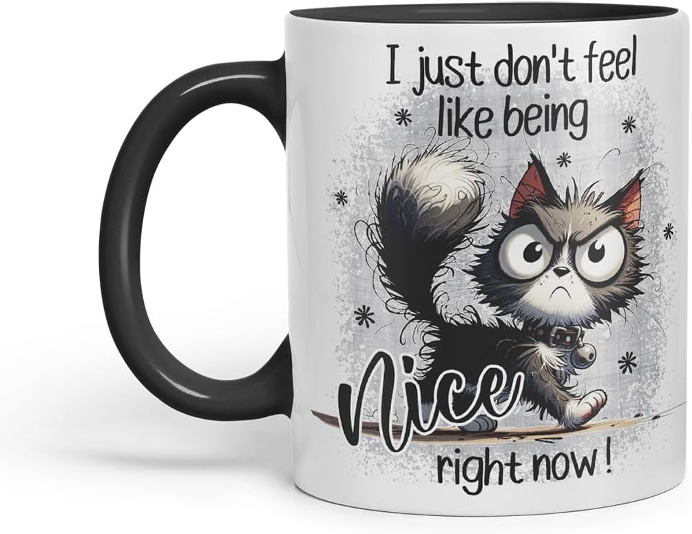 Vixar I Just Don't Feel Like Being Nice Right Now Funny cat – Coloured Ceramic Mug Cup Gift, 11oz (Black)