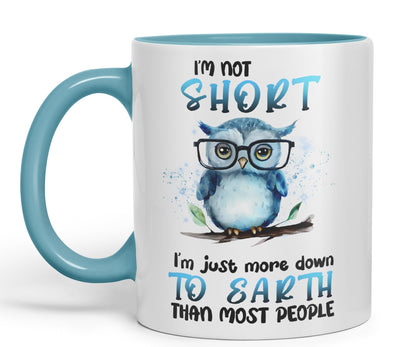 Vixar I'm Not Short, I'm just More Down to Earth Than Most People, owl Sarcastic Joke Ceramic Coloured Mug Cup for Tea Coffee Hot Brew 330ml 11Oz
