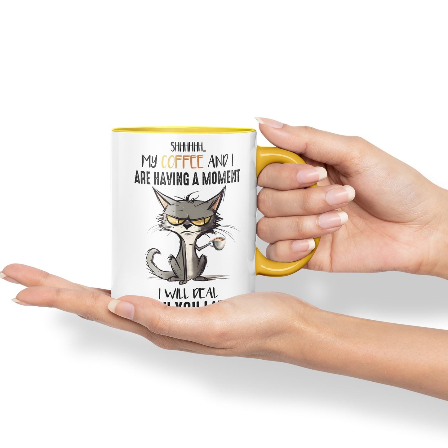 My Coffee and I are Having a Moment, I Will Deal with You Later cat Sarcastic Joke Ceramic Coloured Mug Cup for Tea Coffee Hot Brew 330ml 11Oz