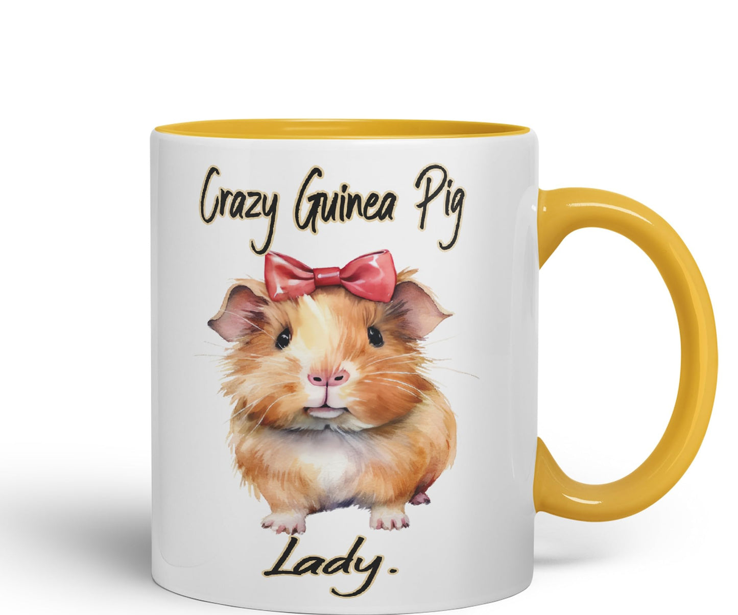 Crazy Guinea Pig Lady Joke sarkasm Sarcastic Ceramic Coloured Mug Cup for Tea Coffee Hot Brew 330ml 11Oz Gift