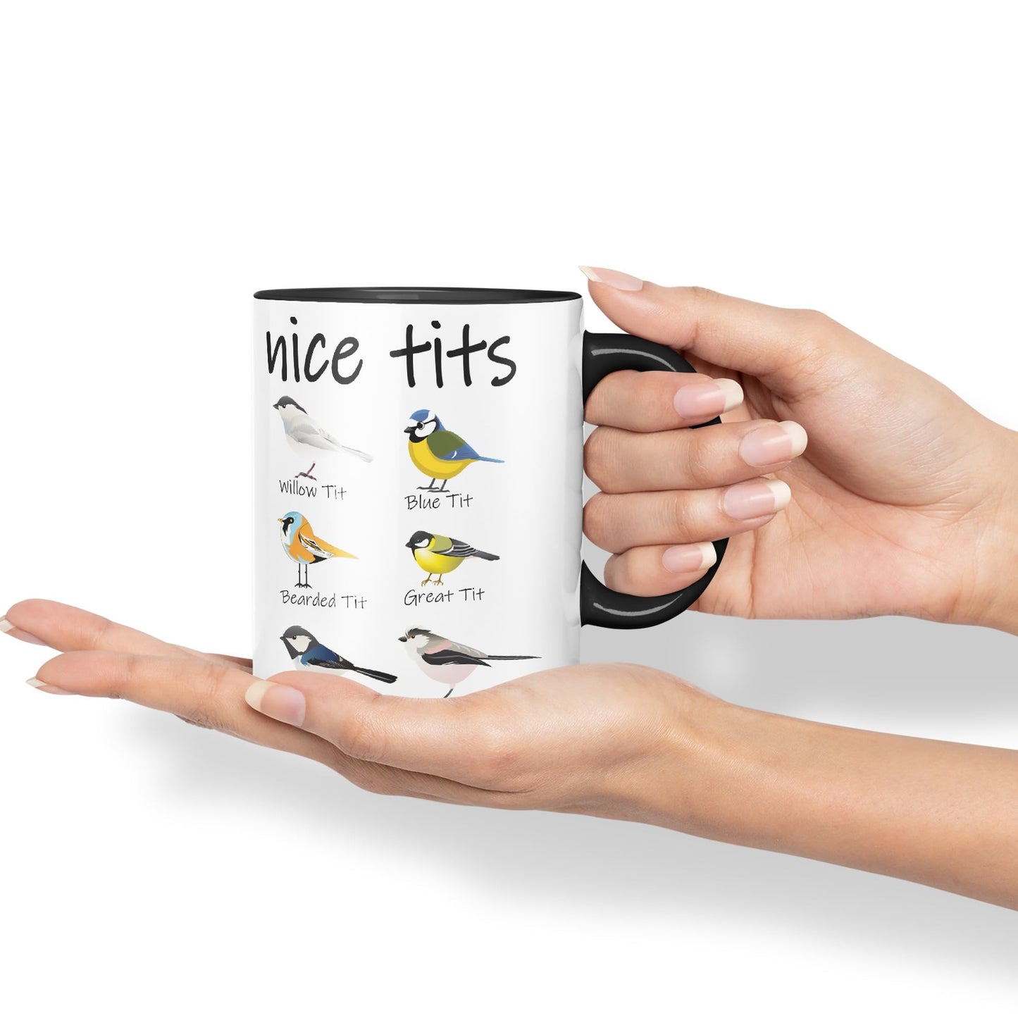 Nice Tits,Willow tit, Blue tit, Bearded tit, Great tit, Coal tit, Long Tailed tit, Sarcastic Joke Ceramic Coloured Mug Cup for Tea Coffee Hot Brew 330ml 11 OZ