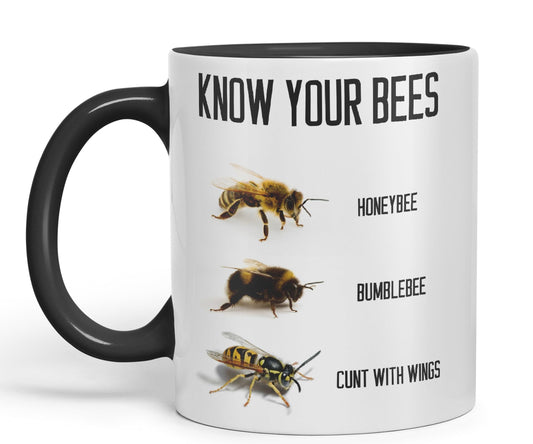 Vixar Know Your Bees Rude Funny Ceramic 330 ml Coloured Mug Cup Gift Tea Coffee Christmas Office Home Joke