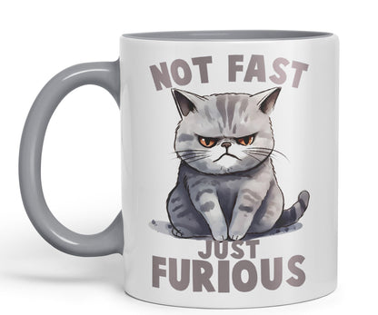 Not Fast just Furious, cat Sarcastic Joke Ceramic Coloured Mug Cup for Tea Coffee Hot Brew 330ml 11Oz