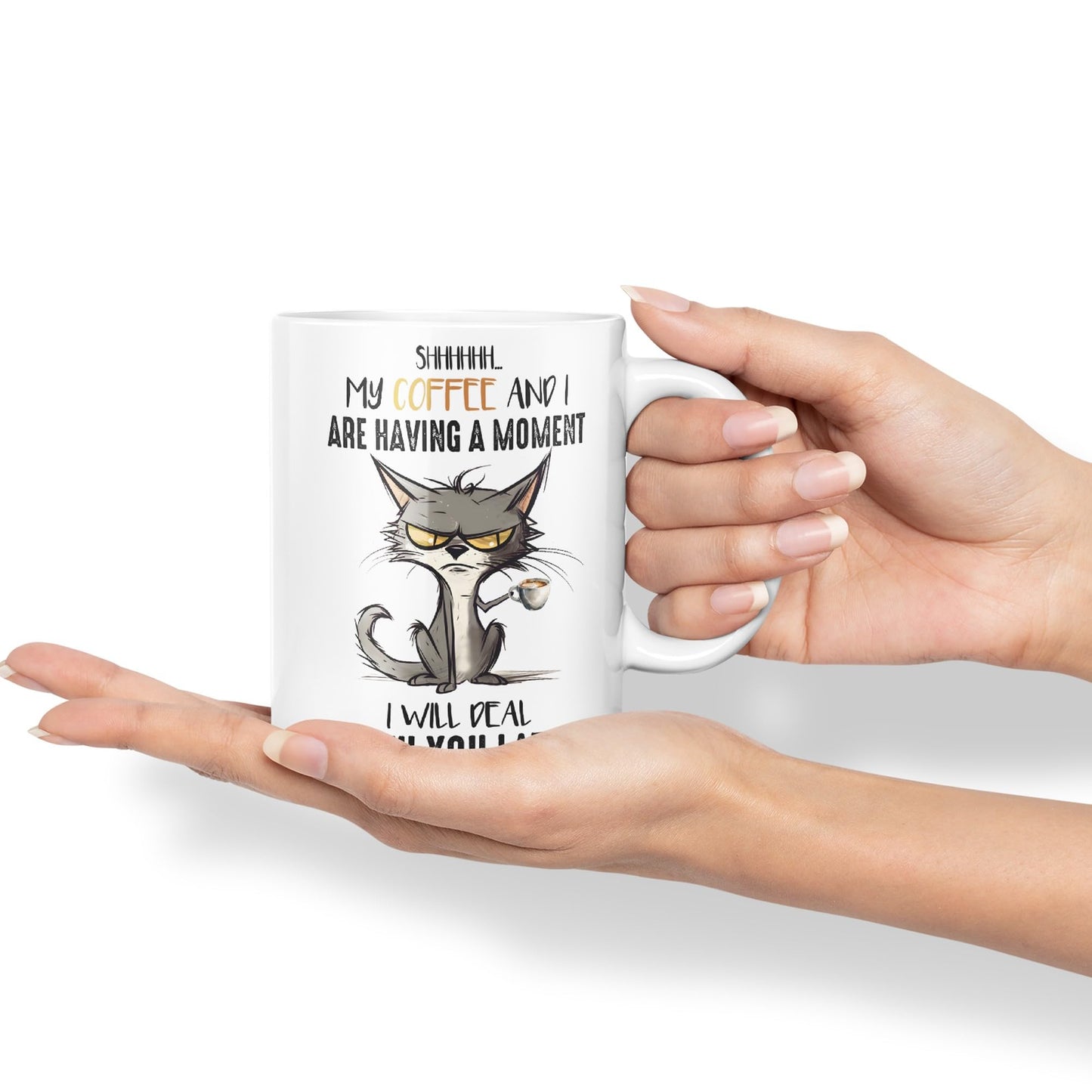 My Coffee and I are Having a Moment, I Will Deal with You Later cat Sarcastic Joke Ceramic Coloured Mug Cup for Tea Coffee Hot Brew 330ml 11Oz