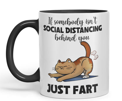 Vixar If Somebody Isn't Social Distancing Behind You Just Fart Cats Sarcastic Joke Ceramic Coloured Mug Cup for Tea Coffee Hot Brew 330ml 11oz