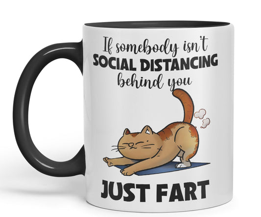 Vixar If Somebody Isn't Social Distancing Behind You Just Fart Cats Sarcastic Joke Ceramic Coloured Mug Cup for Tea Coffee Hot Brew 330ml 11oz