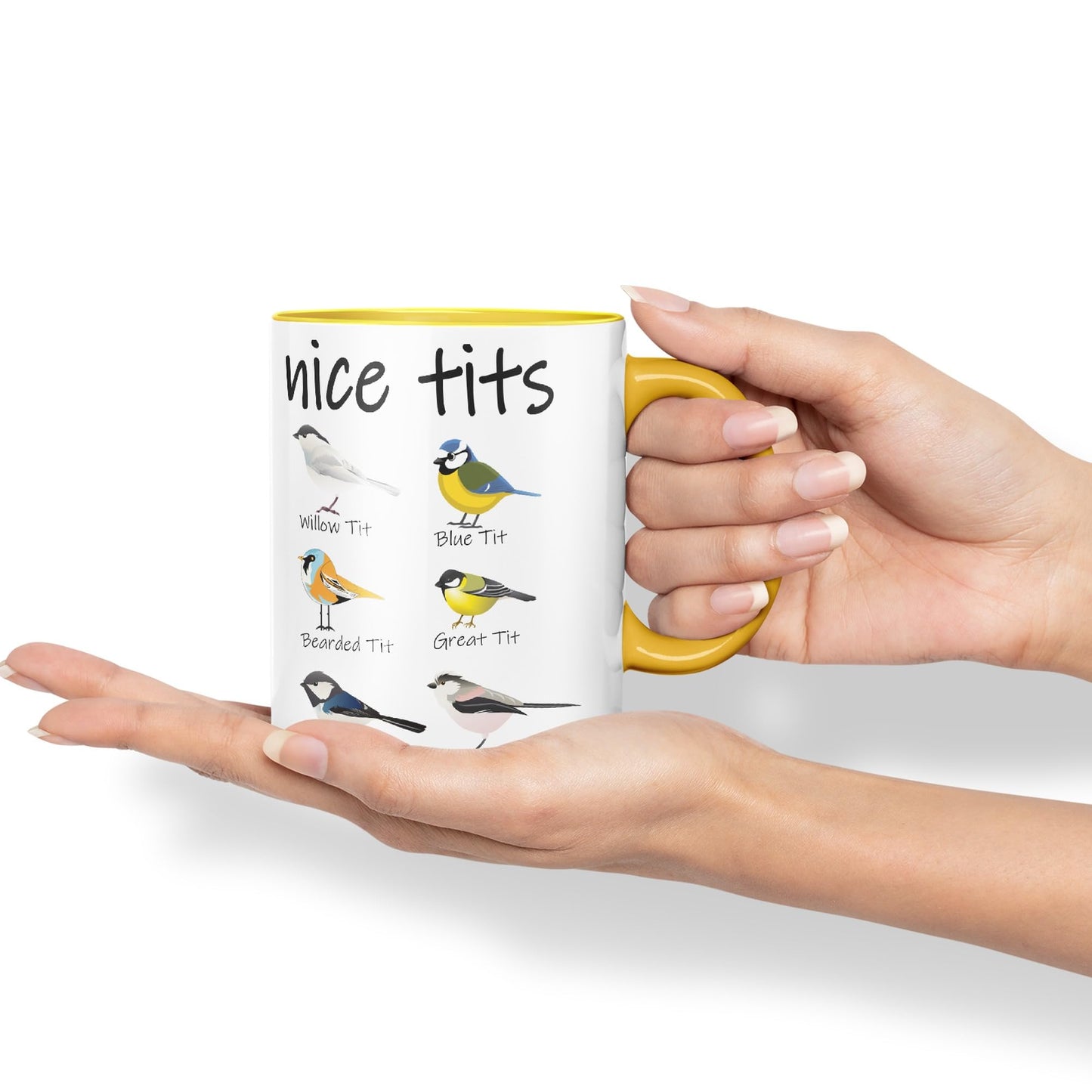 Nice Tits,Willow tit, Blue tit, Bearded tit, Great tit, Coal tit, Long Tailed tit, Sarcastic Joke Ceramic Coloured Mug Cup for Tea Coffee Hot Brew 330ml 11 OZ