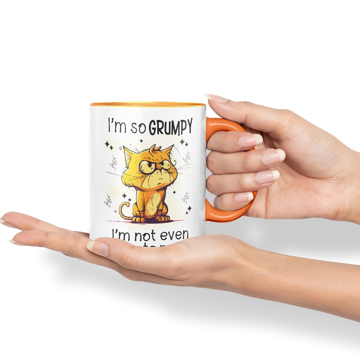 I'm so Grumpy, I'm not Even Talking to Myself cat Joke sarkasm Ceramic Coloured Mug Cup for Tea Coffee Hot Brew 330ml 11Oz Gift