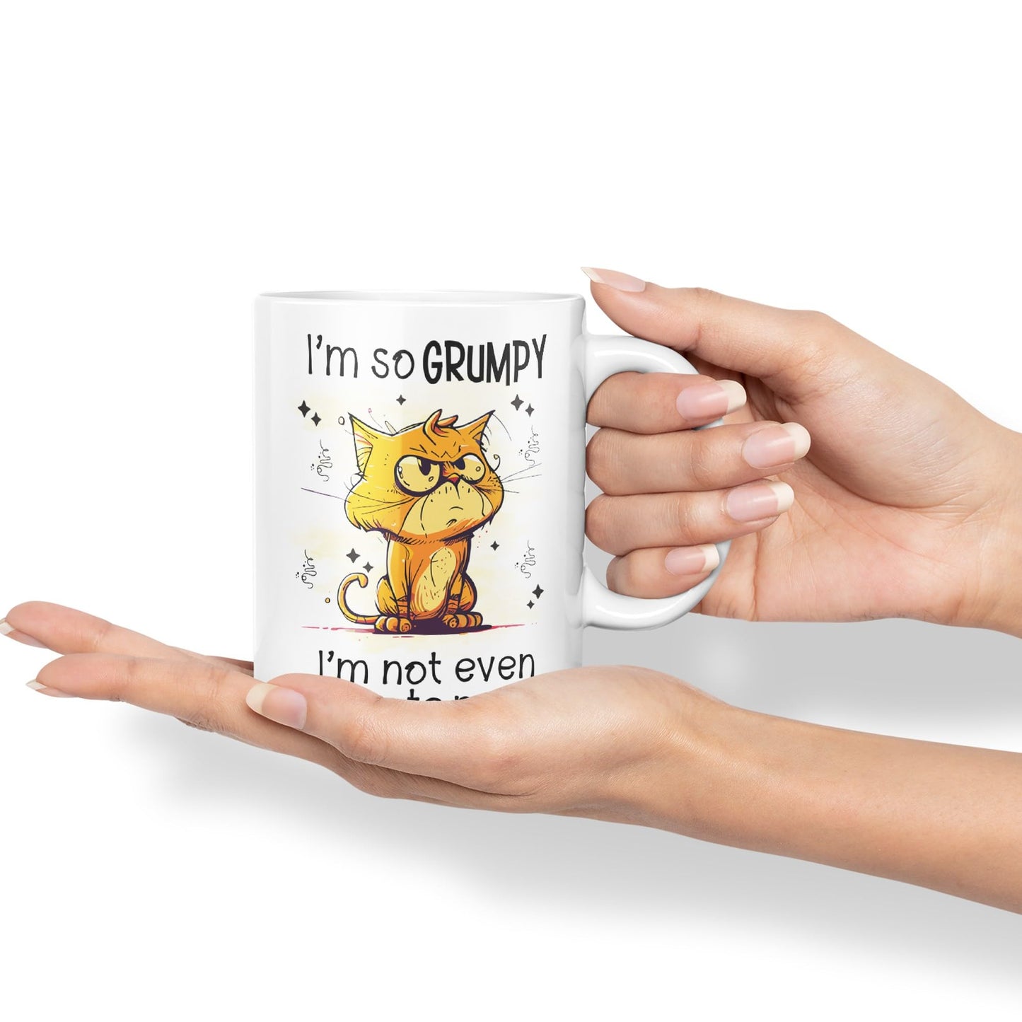 I'm so Grumpy, I'm not Even Talking to Myself cat Joke sarkasm Ceramic Coloured Mug Cup for Tea Coffee Hot Brew 330ml 11Oz Gift