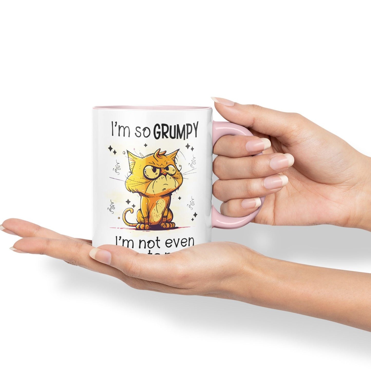 I'm so Grumpy, I'm not Even Talking to Myself cat Joke sarkasm Ceramic Coloured Mug Cup for Tea Coffee Hot Brew 330ml 11Oz Gift