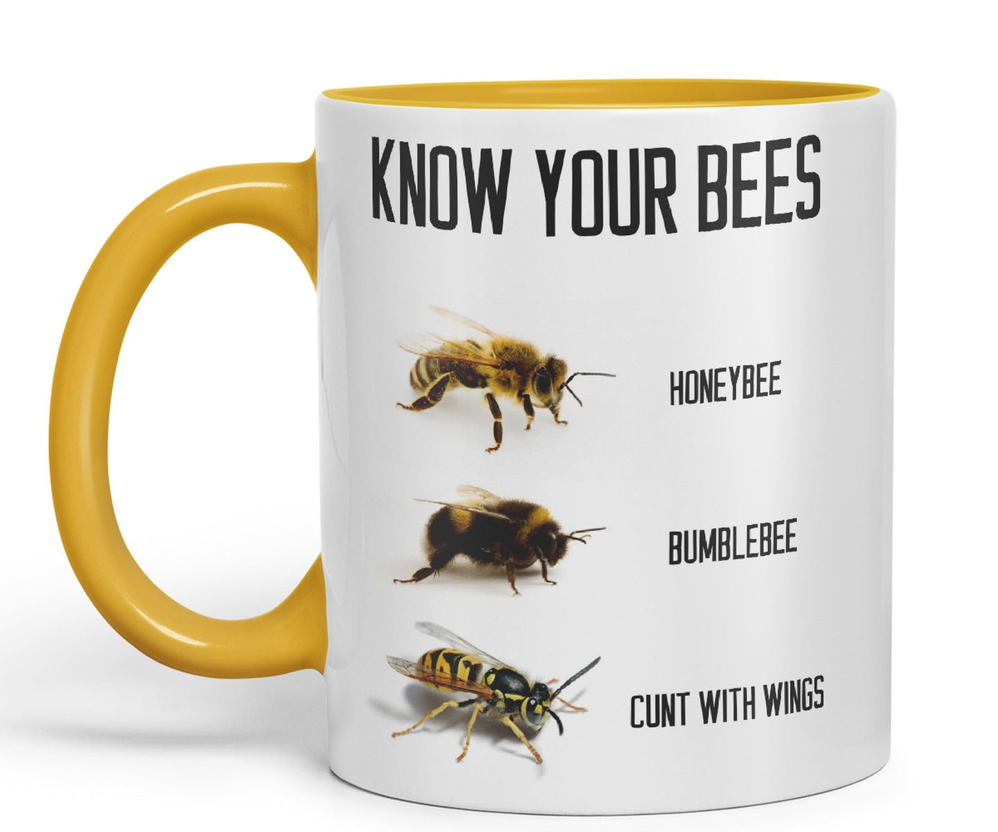 Vixar Know Your Bees Rude Funny Ceramic 330 ml Coloured Mug Cup Gift Tea Coffee Christmas Office Home Joke