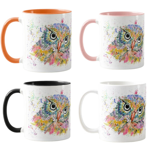 Owl Wildlife Animals Watercolour Rainbow Art Coloured Mug Cup