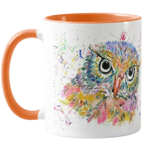 Owl Wildlife Animals Watercolour Rainbow Art Coloured Mug Cup